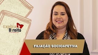 Explica Direito Filiação Socioafetiva  2019 [upl. by Ysied]